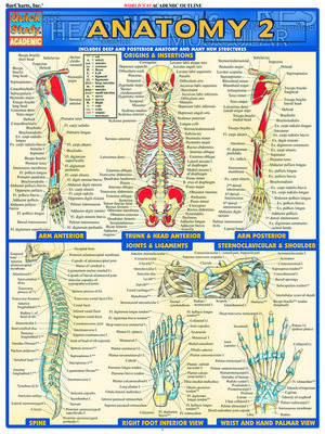 Anatomy 2--Reference Guide (8.5 x 11) - ebook